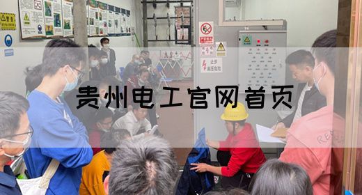 贵州电工官网首页