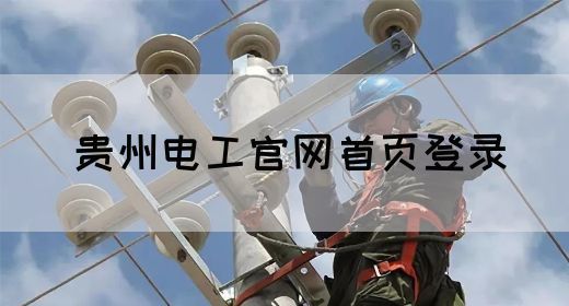 贵州电工官网首页登录