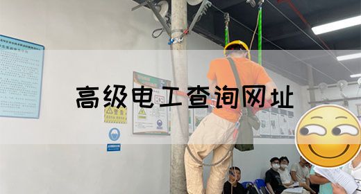 高级电工查询网址