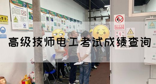 高级技师电工考试成绩查询