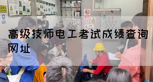 高级技师电工考试成绩查询网址