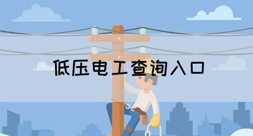 低压电工查询入口