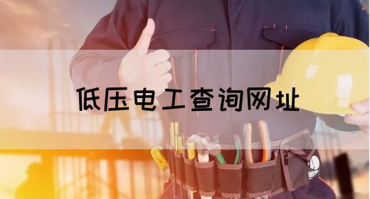低压电工查询网址