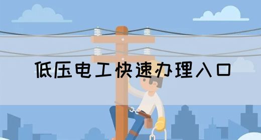 低压电工快速办理入口