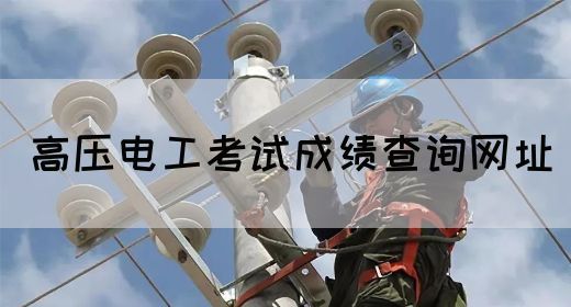 高压电工考试成绩查询网址