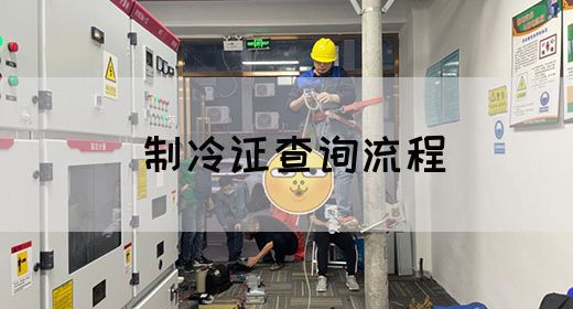 制冷证查询流程