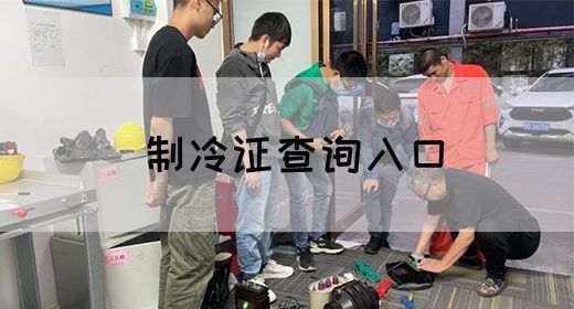 制冷证查询入口