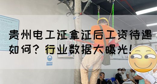 贵州电工证拿证后工资待遇如何？行业数据大曝光！