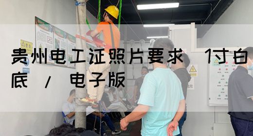 贵州电工证照片要求（1寸白底 / 电子版）