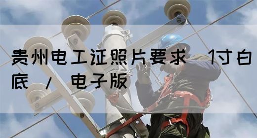 贵州电工证照片要求（1寸白底 / 电子版）