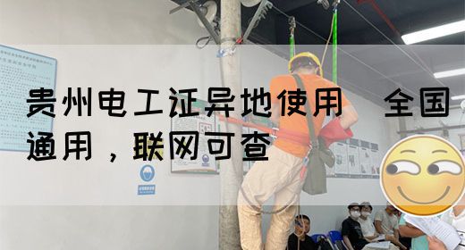 贵州电工证异地使用（全国通用，联网可查）(图1)